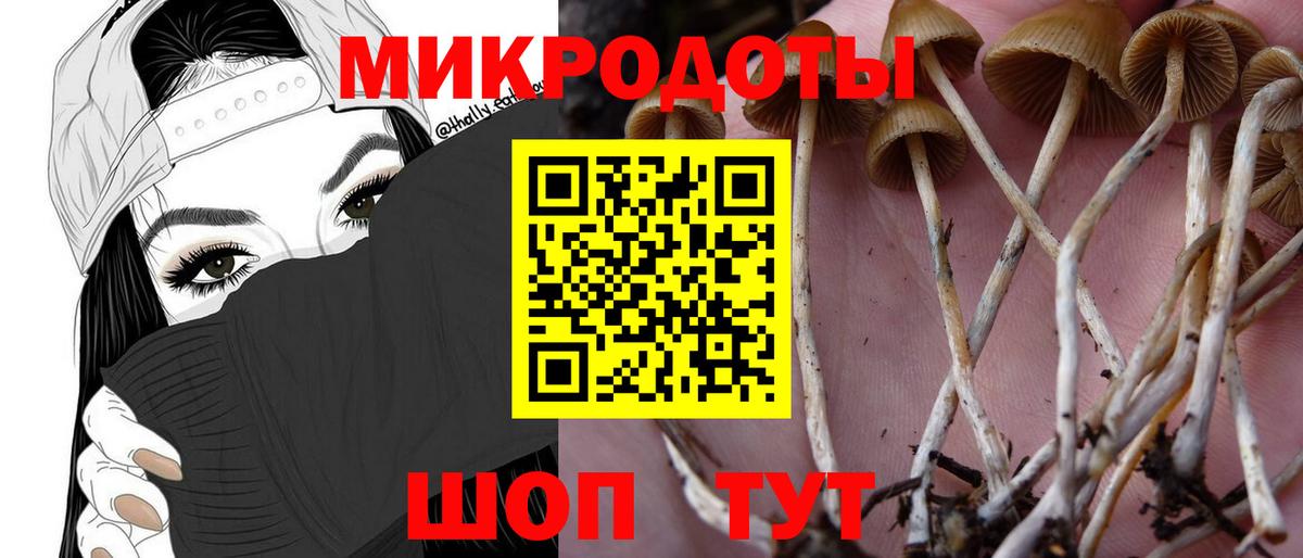 Томск  Галлюциногенные грибы ЛСД  Вход с VPN 