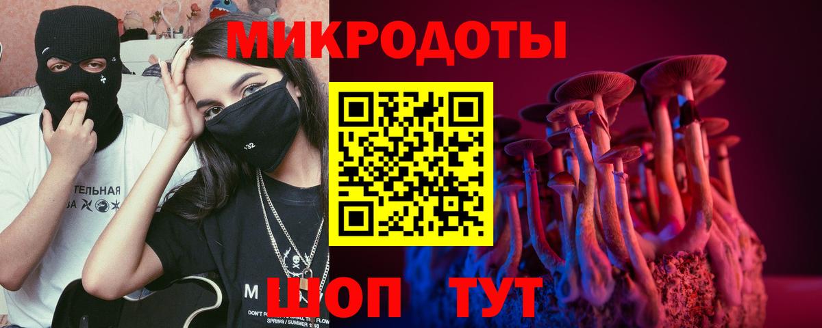 Псилоцибиновые грибы мицелий Томск